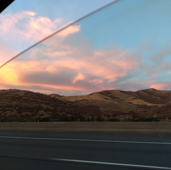 Meet your Posher, Leone - Picture 3 of 14